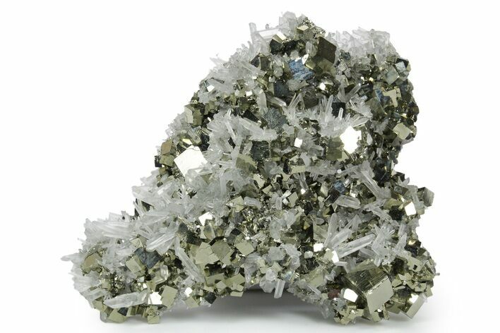 Gleaming Cubic Pyrite Crystals with Clear Quartz - Peru #351189